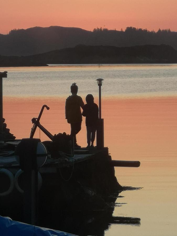 Kobbaneset Hk - Tett Pa Havet - Bekkjarvik Διαμέρισμα Εξωτερικό φωτογραφία