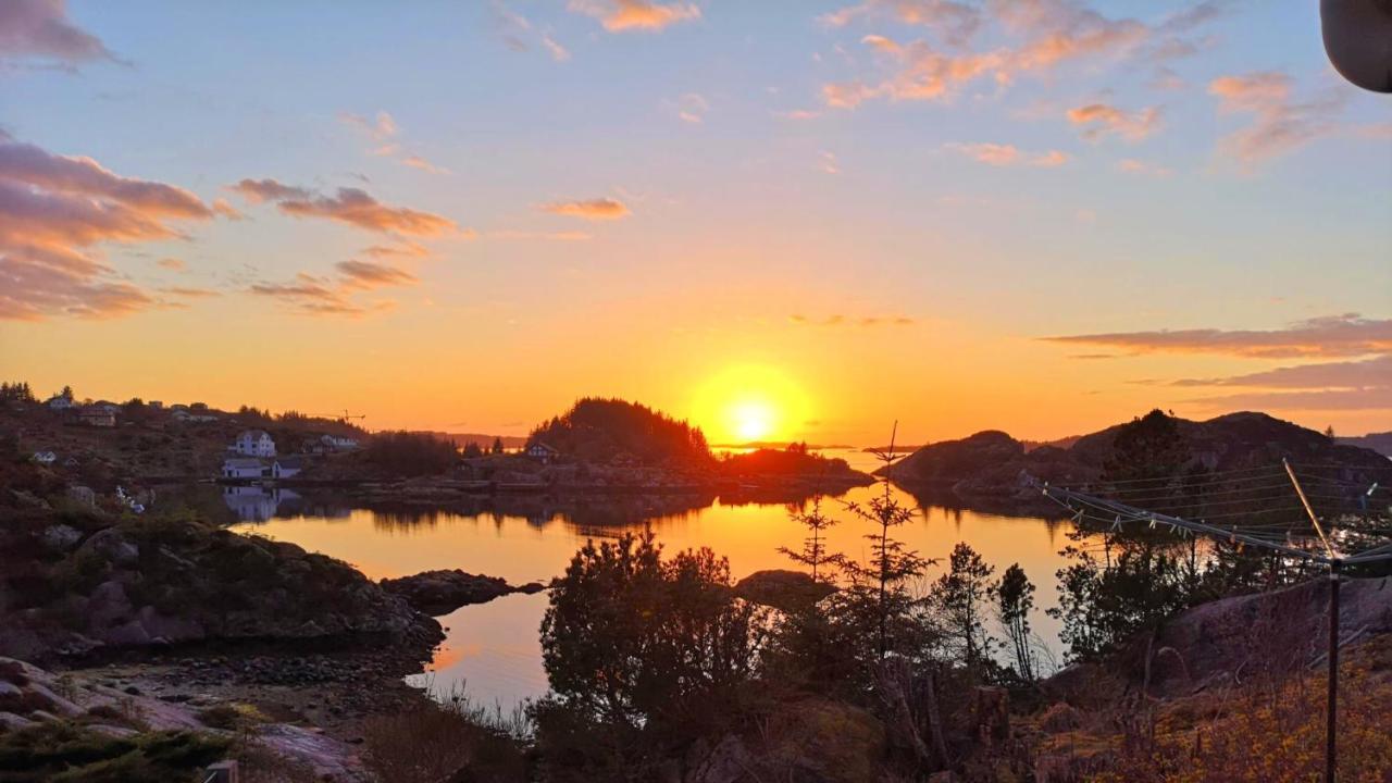 Kobbaneset Hk - Tett Pa Havet - Bekkjarvik Διαμέρισμα Εξωτερικό φωτογραφία